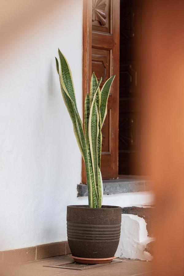 Guanapay Home En El Centro De Teguise Теґісе Екстер'єр фото